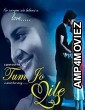 Tum Jo Mile: A Sweet Love Story (2010) Hindi Full Movie